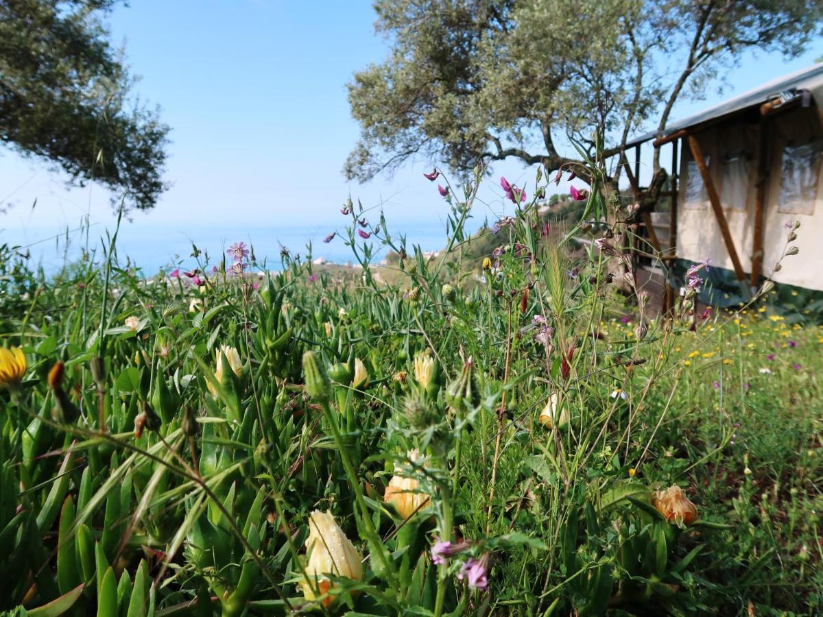 Campo Agave Luxury Tents Sayalonga Екстериор снимка