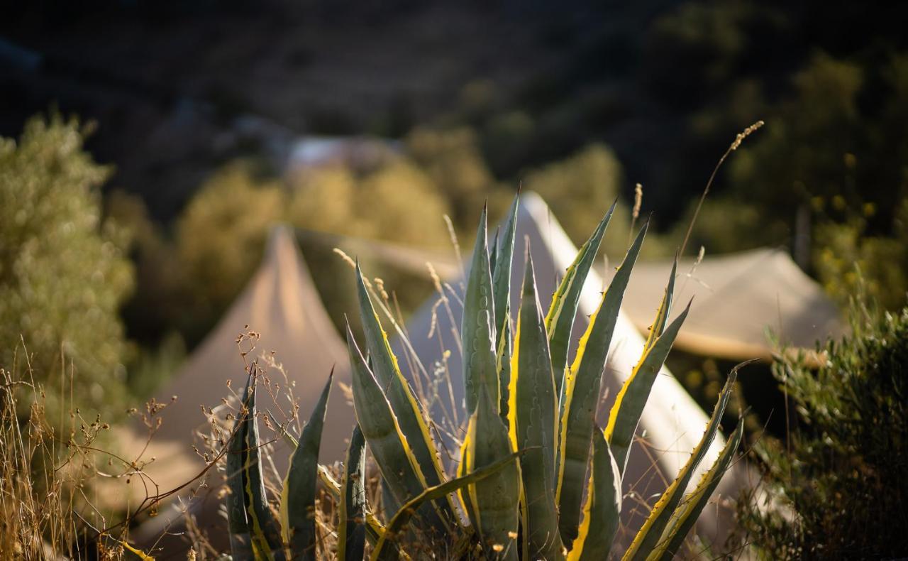 Campo Agave Luxury Tents Sayalonga Екстериор снимка