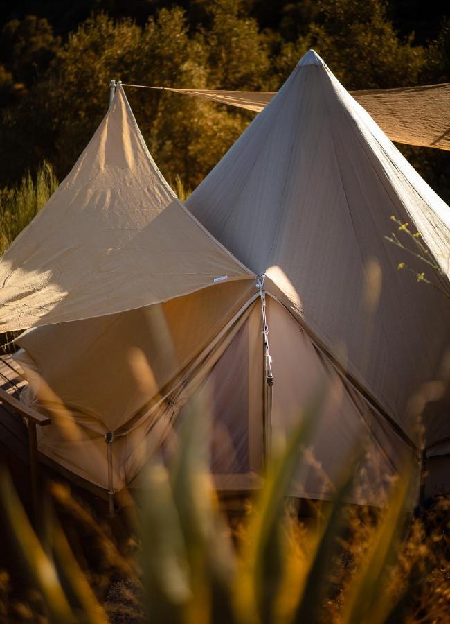 Campo Agave Luxury Tents Sayalonga Екстериор снимка