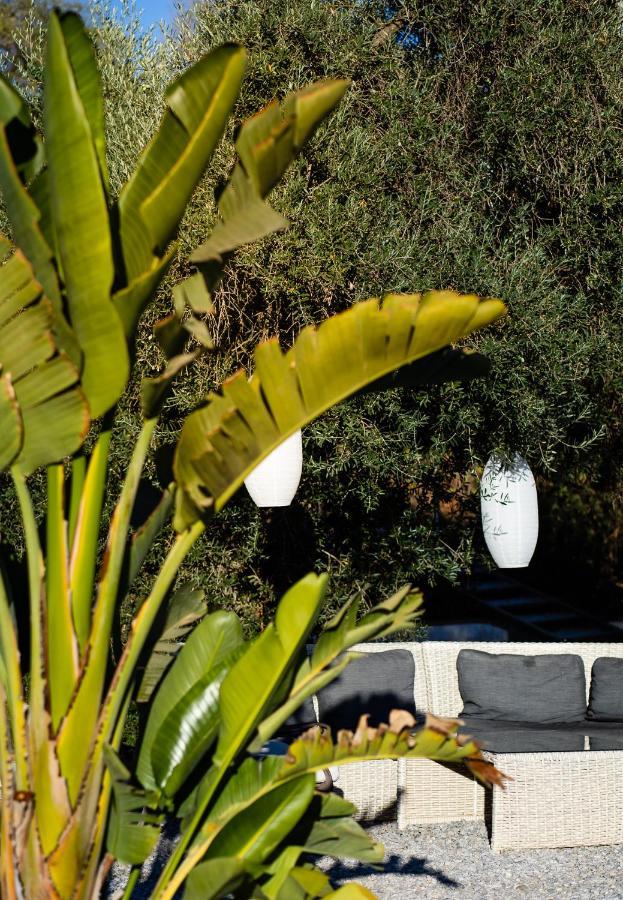 Campo Agave Luxury Tents Sayalonga Екстериор снимка
