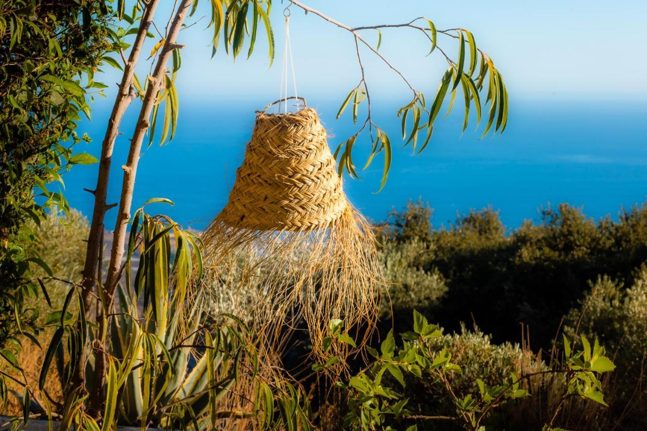 Campo Agave Luxury Tents Sayalonga Екстериор снимка