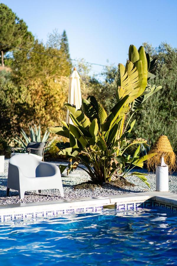 Campo Agave Luxury Tents Sayalonga Екстериор снимка
