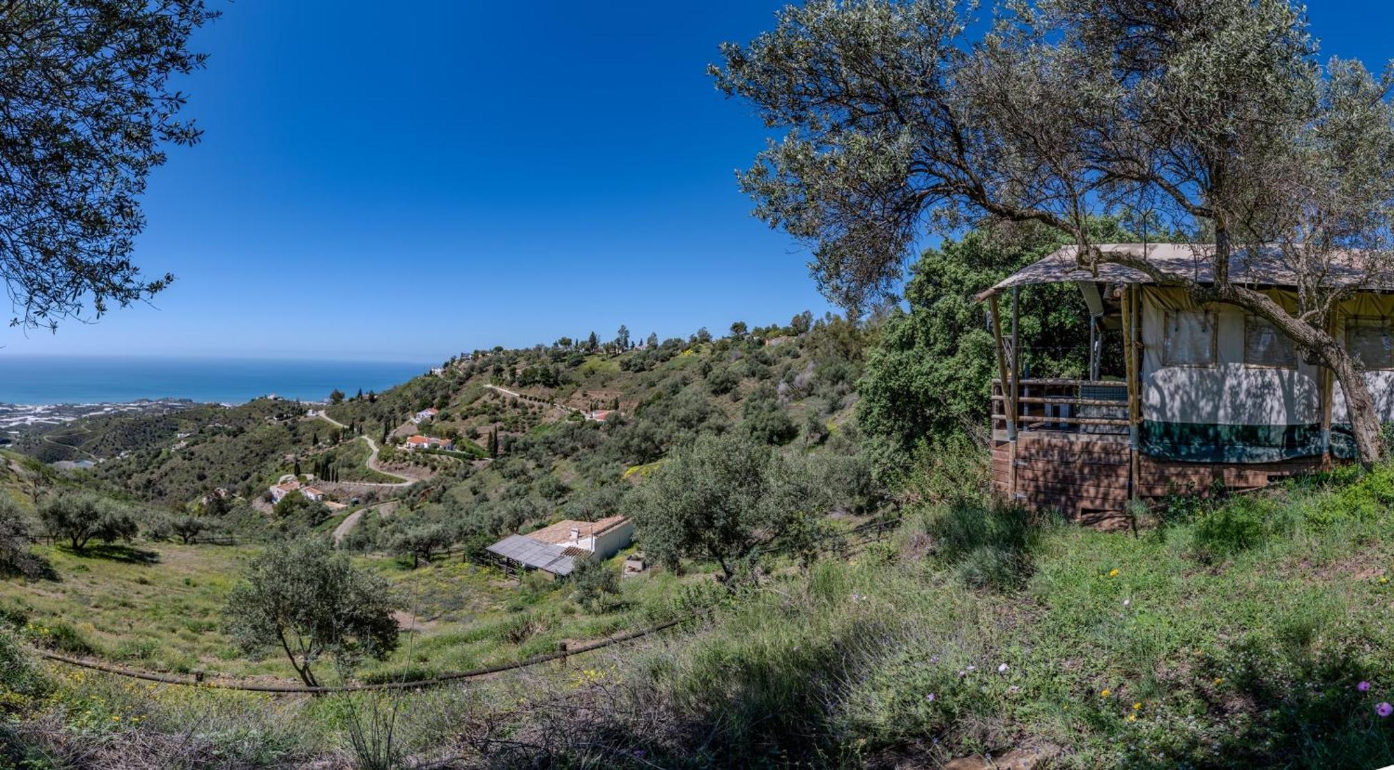 Campo Agave Luxury Tents Sayalonga Екстериор снимка