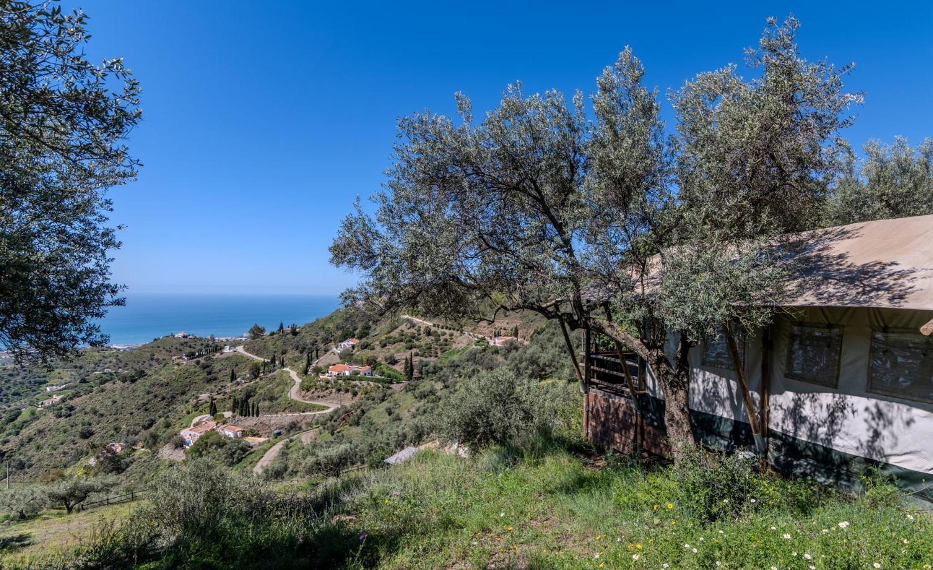 Campo Agave Luxury Tents Sayalonga Екстериор снимка
